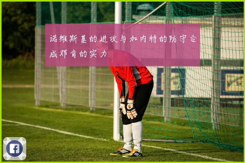 诺维斯基的进攻与加内特的防守合成邓肯的实力