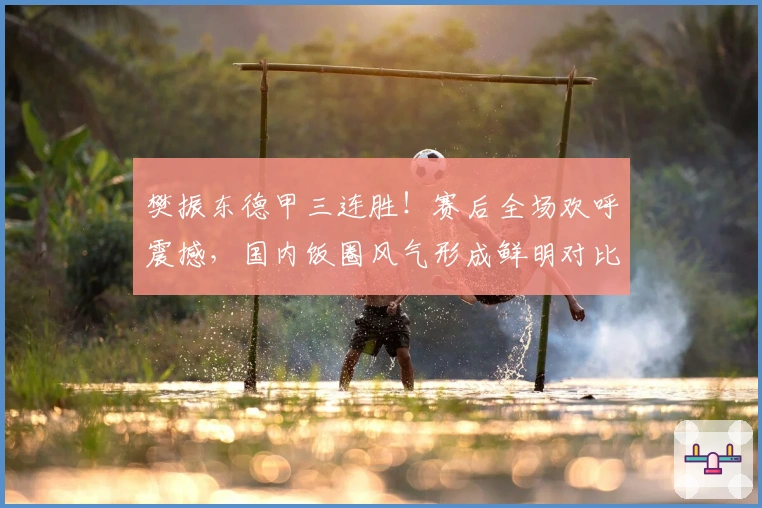 樊振东德甲三连胜！赛后全场欢呼震撼，国内饭圈风气形成鲜明对比